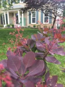 Olney, MD Landscaping Companies