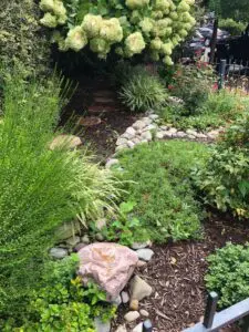 Takoma Park, MD Sustainable Landscaping