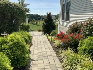 Olney, MD Landscape Pricing Guide