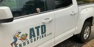 ATD truck with leaves