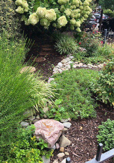 Takoma Park, MD Sustainable Landscaping Takoma Park, MD Sustainable Landscaping